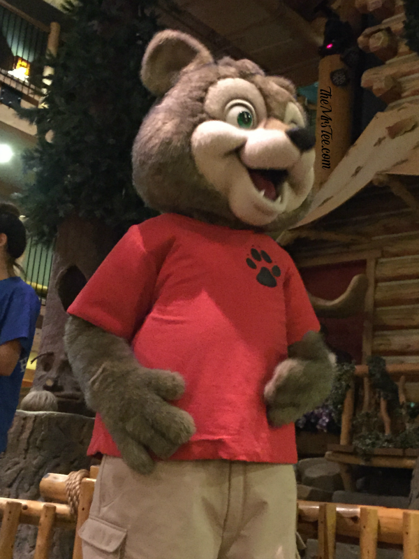 Great Wolf Lodge | The Perfect Getaway For The Kid In All Of Us | TheMrsTee.com